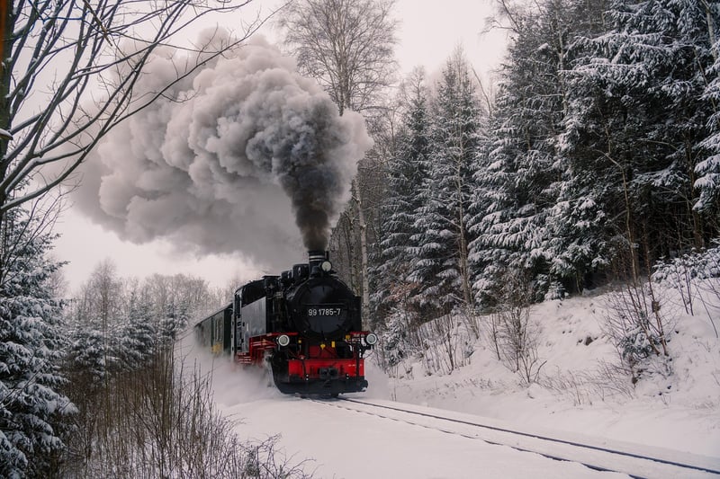 Winter Wonderland